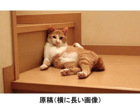 横長の原稿画像