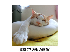 正方形の原稿画像