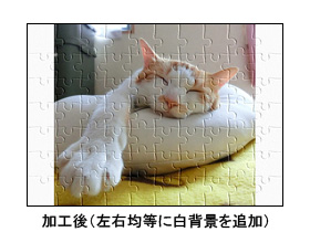 正方形の原稿画像に白背景を追加した例